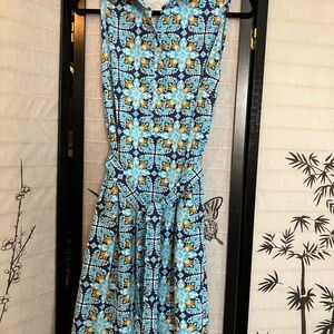 J. McLaughlin blue button down dress